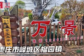 枣庄乡村振兴采风行⑩峄城区榴园镇：“致富果”浑身是宝！石榴铺就甜蜜乡村振兴路图片