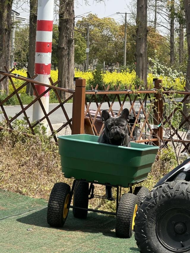 闰六月，夏日长！来青浦三大古镇，静享慢半拍的水乡生活！