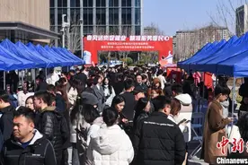 雄安新区举办2025年春风行动专场招聘会图片