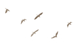 刚刚通知！无锡著名景点 姓这个 免费！