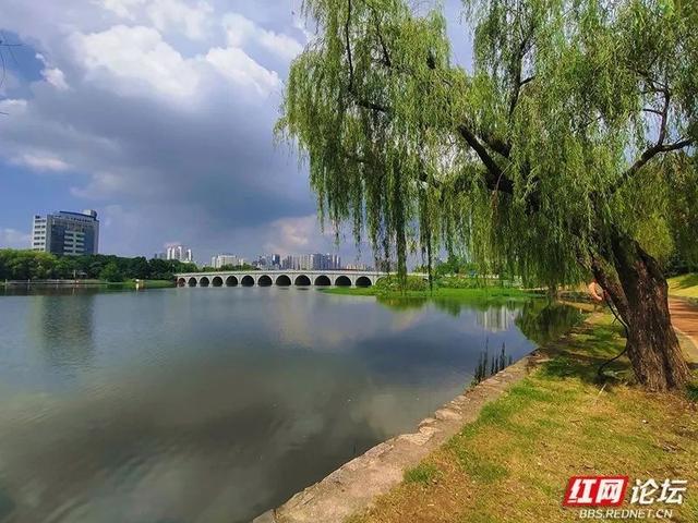 天幕如画，城市生光，这才是常德的夏天