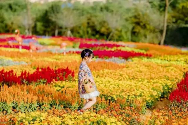 街头大量出现！常州人都已经捡上了