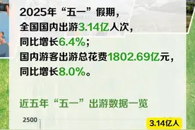 图解丨3.14亿人次！2025年“五一”假期国内出游数据大盘点图片