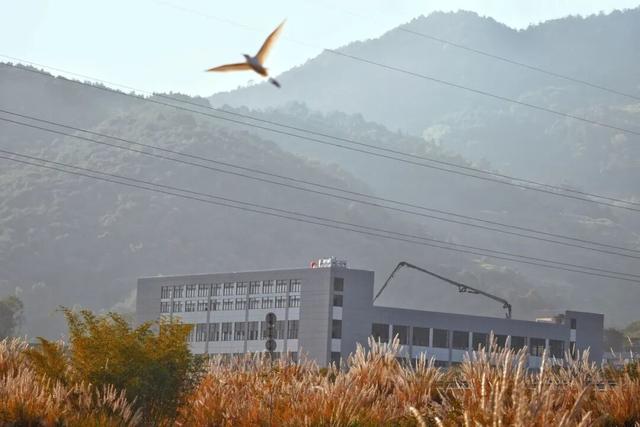 周末露营天花板，来福安“野” 一天！