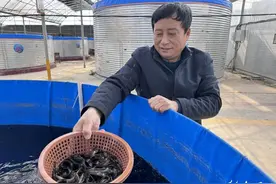 鱼台县王鲁镇推广智能化养殖新模式图片