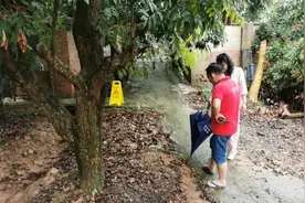 一男子外出不慎跌倒，用这个小程序获赔3千多元图片