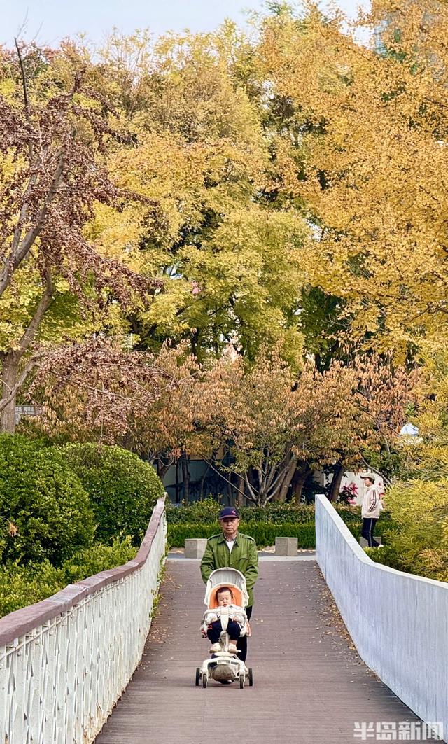 秋染李村河！五彩斑斓绘就城市生态画卷