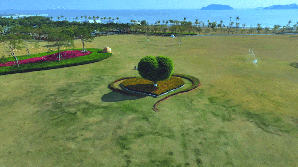 上新！珠海“顶流爱心树”浪漫升级，出片率100%！