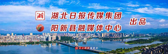 阳新“仙境烟火”惊艳文旅博览会 向世界发出诗画之约