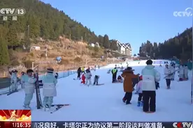 冰雪旅游过大年 南方雪场人气旺图片