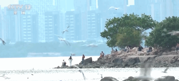 小桥流水、梅花初绽、海天一色 被地铁口的景色美到了