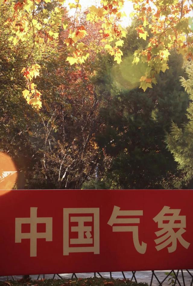 “隐藏款”北京秋景，就在中国气象局大院！