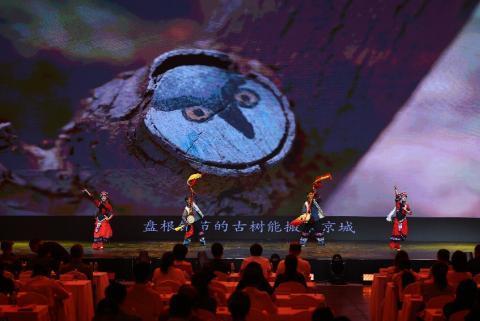 2025北京大兴区文化和旅游产业项目推介会圆满举办
