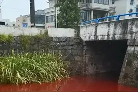 鲜红异常！杭州一河段河水变色，多方回应！图片