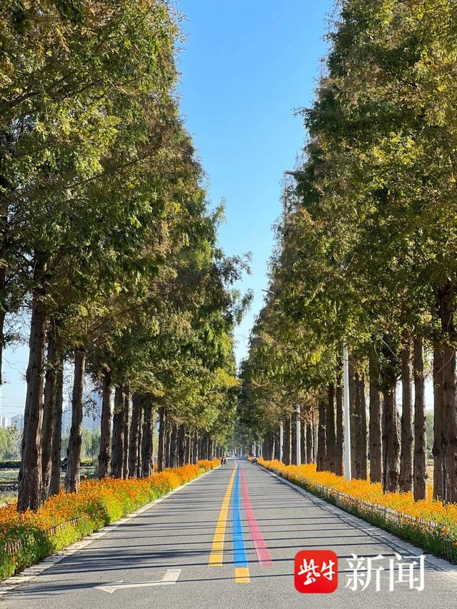 苏州昆山高新区：在产业高地邂逅诗意之旅