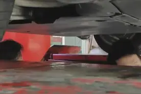 又到秋冬 流浪猫爱上发动机舱 教你一招！图片