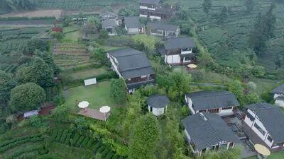 持续火爆！名山区民宿“双节档”人气飙升