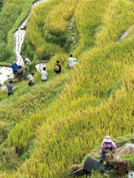 秋遇贵州：在全方位体验中解锁新旅程