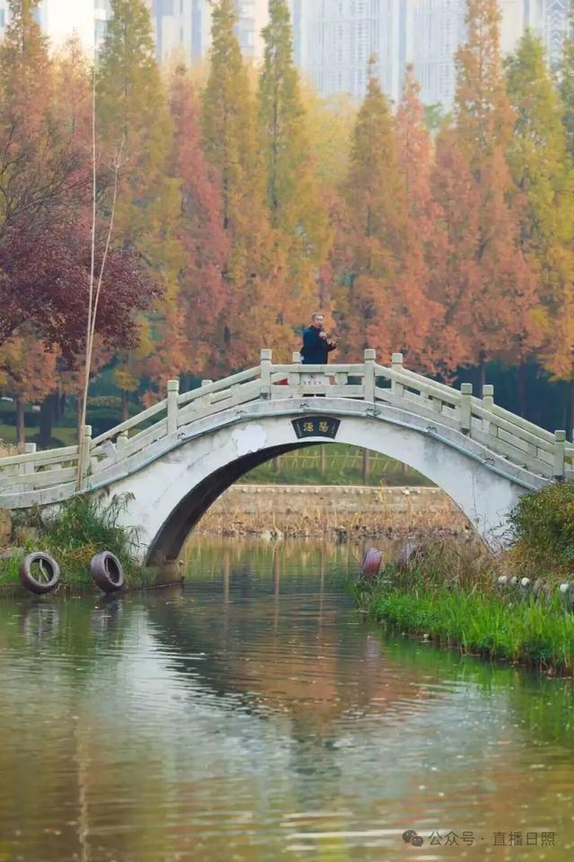 一分钟！我要知道日照这里的所有信息→