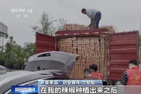 送5400斤辣椒回报母校！这位90后小伙和学校有什么故事？图片