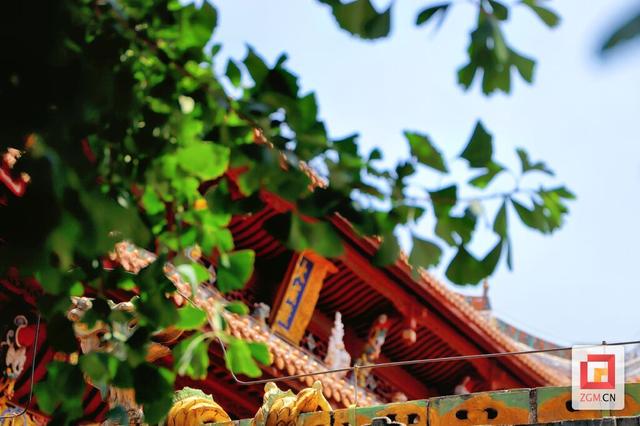 夏日里的富顺文庙：千年儒风，一院清凉