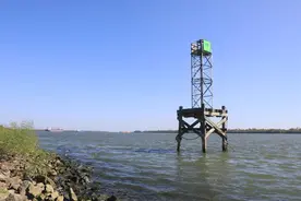 （国际·图文互动）海水倒灌密西西比河 美国多地供水受威胁图片