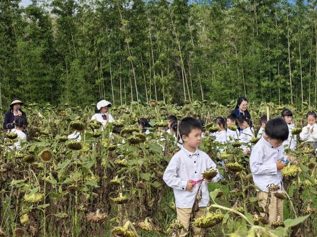 宜美家园 共同创造丨宜宾城区这片花海正在打造！预计呈现时间→