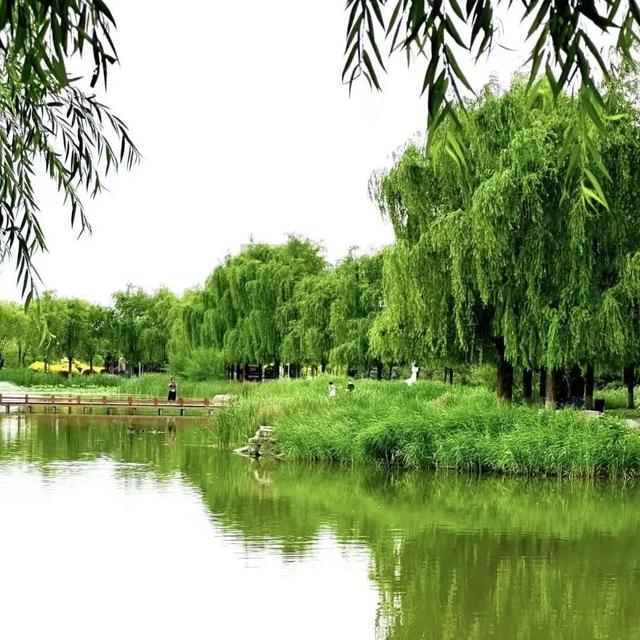 青城周末去哪玩 | 在城市园区里，寻找属于你的松弛感