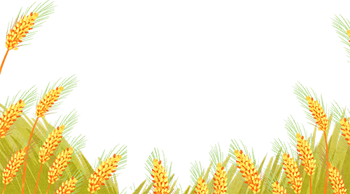 绵德双城记 ‖ 秋游德阳，邂逅千年古蜀！这4条宝藏研学路线，带你玩转假期！