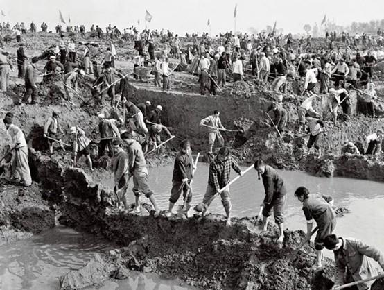 千年水脉润沃土，流绿成画映芳华：豆各庄“滨水会客厅”盛装启幕