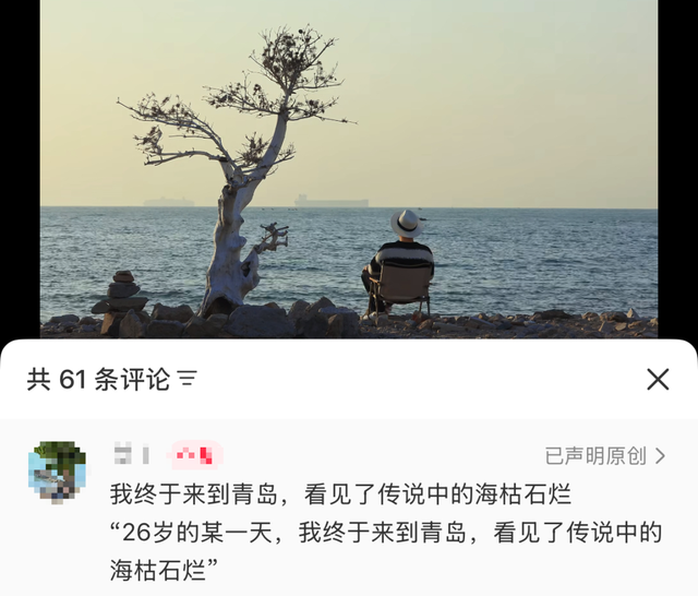 青岛海边又一棵“树”走红，游客市民排队打卡！