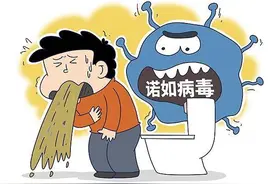 一家五口全中招！突然恶心呕吐腹泻，警惕冬春季节高发的诺如病毒图片