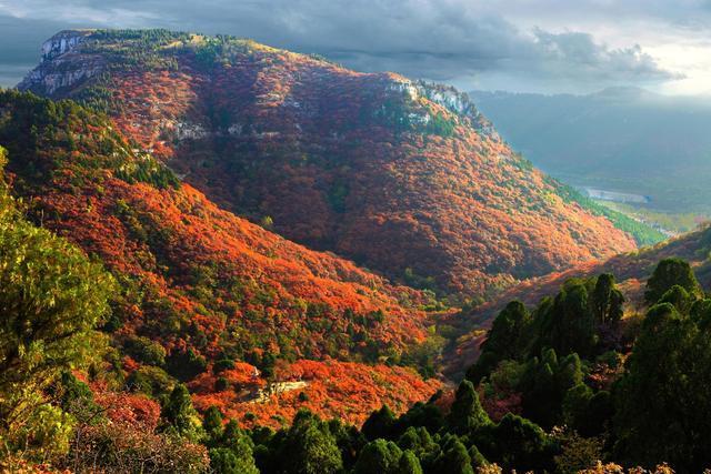 尽收山间好秋色！潍坊登山地图来啦~