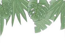 天天领券 l 7天福利不重样！手慢无图片