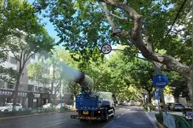 谢谢你，崇明的“美容师”~图片