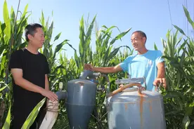 山东滨州市探索“农技赋能+金融保障”一体化粮食增收模式——由“保成本”向“保增收”转变图片