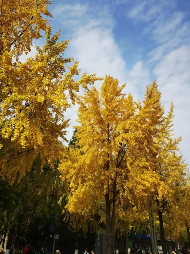 郭家桥，川大南门外的美食「金三角」