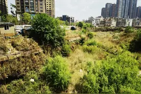 昆明一小区半夜传来怪叫声！住户：好像在废弃基坑里……图片