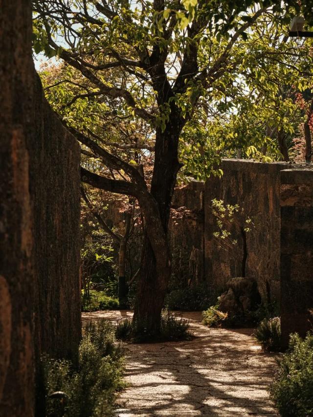 Wallpaper独家｜伙山村里一处让人“迷路”的酒店