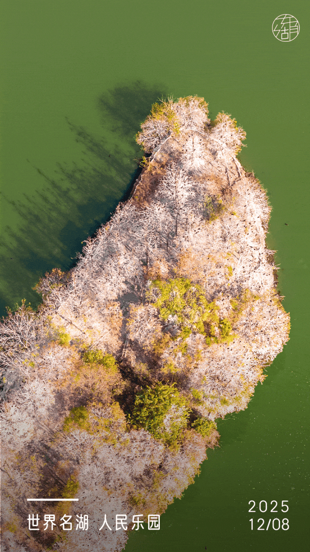 东湖冬日必打卡！观「雪」景、赏秋色、追落日！