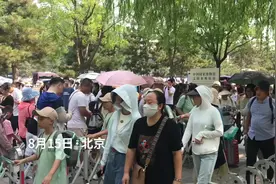 北京多家博物馆“一票难求”：放票即约满，“黄牛”将免费参观变“有偿”服务图片