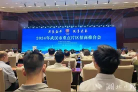 “以需定供”激活房地产市场 武汉一次性推介多个重点片区图片