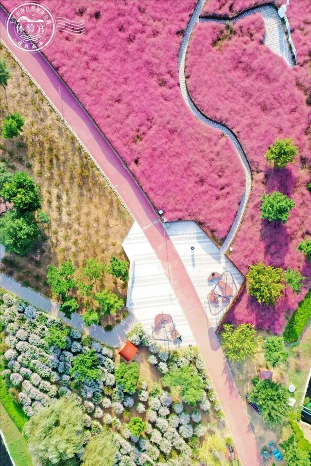 金秋重逢乐威海丨沐风追光·山海自驾之旅