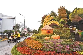 祝福祖国大花篮 今年新意特别多图片