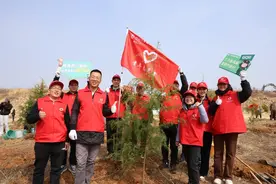中国农业银行威海分行：以绿色金融绘就生态威海新画卷图片