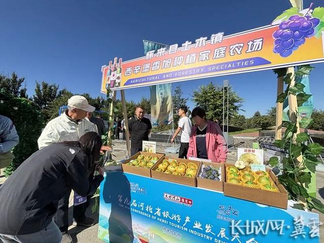 聚焦第九届河北省旅游产业发展大会张家口分会场|镜头下的怀来：“微醺”飘香 “好物”炫目