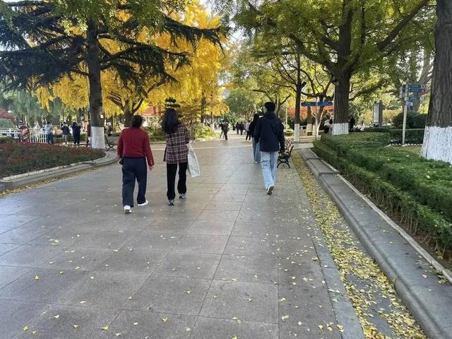 辽宁一地“落叶缓扫”，打造“叶景打卡地”！