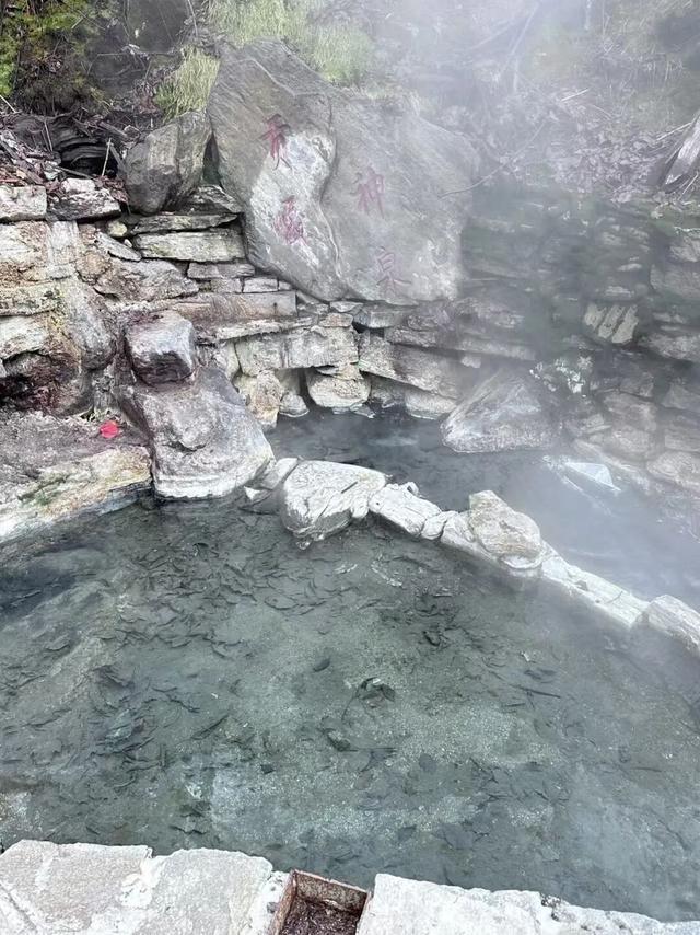 雪山下泡个汤，甘孜冬日真香！