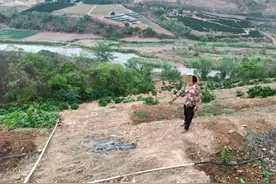 威头条丨放火烧山被判无期！9起森林火灾典型案例引以为戒图片