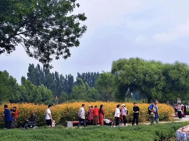 双节“八天乐” 全市公园推出169项生态文化活动喜迎中秋国庆假期